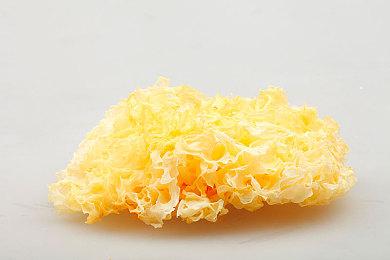 暗黑奇幻世界游戏《黄金星旋》Steam页面上线 明年发售